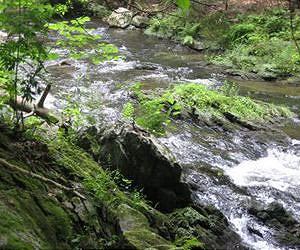 Waterways Contribute To Growth Of Potent Greenhouse Gas