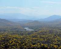 Deforestation destroys more dry forest than climate change