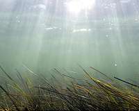 Getting to the core of underwater soil