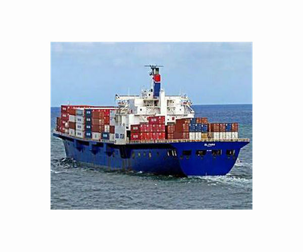 Cargo ship with 43 crew and 6,000 cows sank off Japan in typhoon: survivor