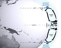 How ENSO leads to a cascade of global impacts