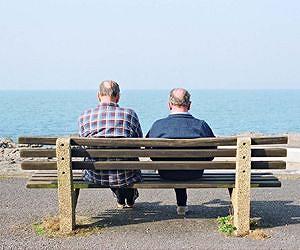 Summer temperature variability may increase mortality risk for elderly with chronic disease