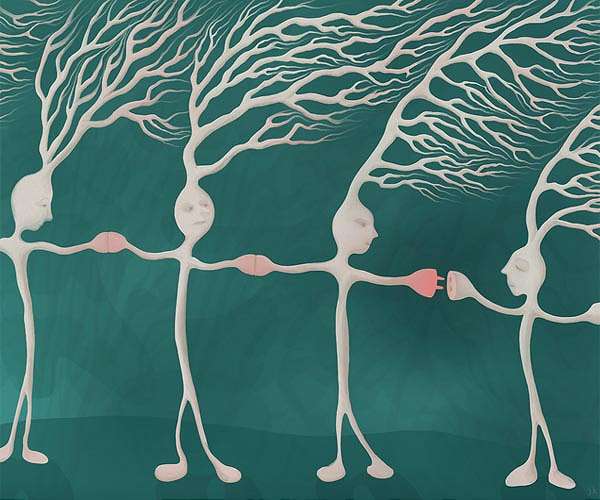 The dark matter of the brain