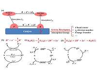 Activity descriptors for electrocatalysts in energy storage applications