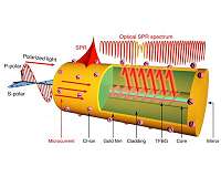 A breakthrough of monitoring energy storage at work using optical fibers