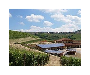 Italy bids to close gap in wine exports to China
