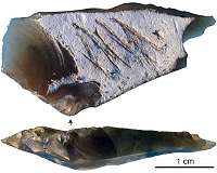 Engraved Crimean stone artifact may demonstrate Neanderthal symbolism