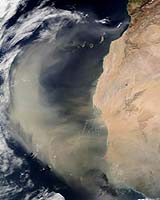 Health Of Brazilian Rainforest Depends On Dust From One Valley In Africa