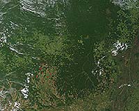 Brazil looks to develop Amazon as deforestation alarm rings