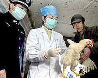 China Clamps Down On Flu Talk