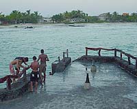 Galapagos face ecological disaster due to tourist trips: study