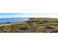 When the Arctic coast retreats, life in the shallow water areas drastically changes