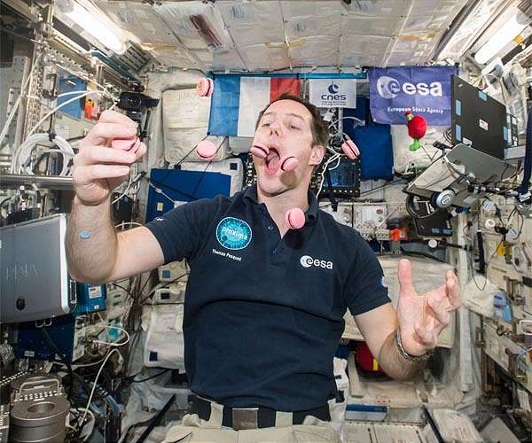 Predicting bodily changes in astronauts through blood sample analysis