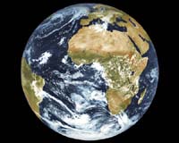 Global Corporate Climate Change Report Released