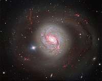 Dazzling spiral with an active heart