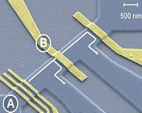 How electrons split: New evidence of exotic behaviors