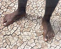 Ethiopia urges aid for drought victims