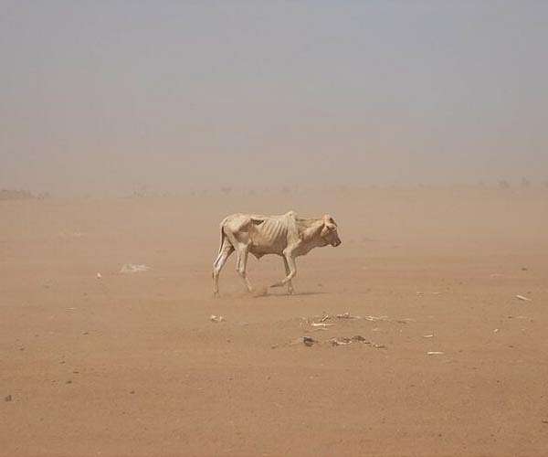 Small temperature rise could triple Earth heat hazard