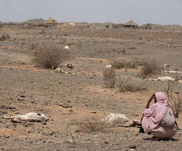World Bank to provide war-torn Ethiopia with $715 mn