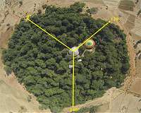 Going green: Ethiopia's bid to plant four billion trees