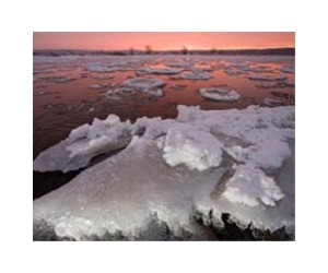 Deep freeze hits Poland's hardy lake swimmers