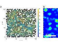 Engineer's model lays groundwork for machine-learning device