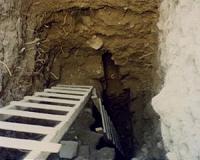 Human parasites found in medieval cesspit reveal ancient links