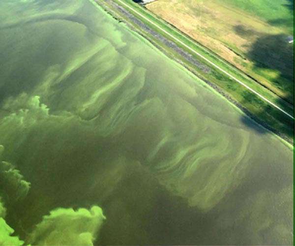 Denmark targets farm nitrogen emissions to boost water quality