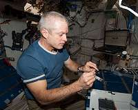 Putting down roots in space