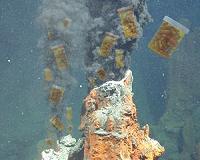 Some genes 'foreign' in origin and not from our ancestors
