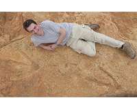 'Mega-carnivore' dinosaur roamed southern Africa 200 million years ago