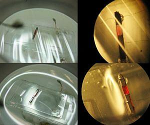Kitchen Gadget Inspires Scientist to Make More Effective Plastic Electronics