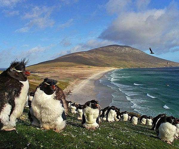 Sure South Atlantic picks Intelsat to connect three British Island Territories