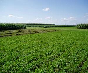 Sowing Seeds With New Agricultural Carbon Accounting Tool