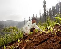 Climate-linked insurance a boon for poor farmers