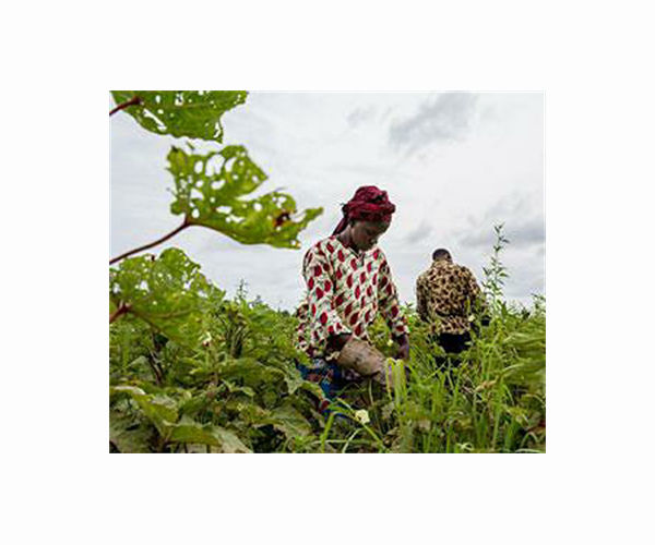 Algerian women pioneer eco-friendly farming