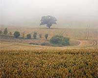 Clearer skies in Europe added to warming