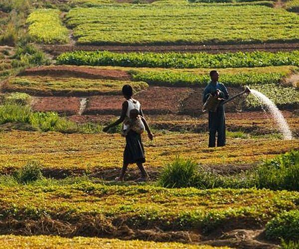 Not enough funding for DR Congo climate change fight: report