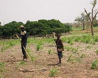 Scientists sound storm warning on African climate change
