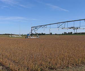 Prioritizing rather than canvassing entire plant genome may lead to improved crops