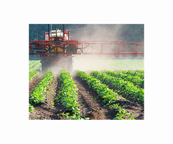 Mexican environment minister quits after weed killer row