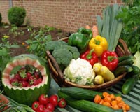 Food Security And The Income Gap