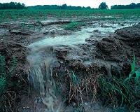How rain is dependent on soil moisture