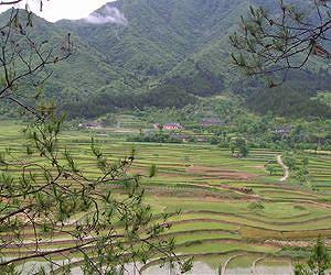 Economic rewards of better land management