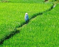 Archaeologists discover ancient trade routes in Vietnam
