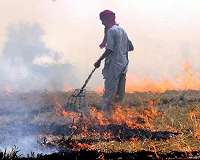 Crop residue burning is a major contributor to air pollution in South Asia