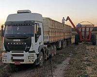 Massive deforestation found in Brazil's Cerrado