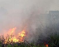 Haze-hit Indonesian province declares emergency