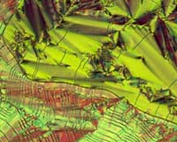 Universities Receive US-German Grant To Study The Nanostructure Of Ferroelectric Domains