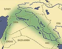 From rice to rags in heart of Iraq's parched breadbasket